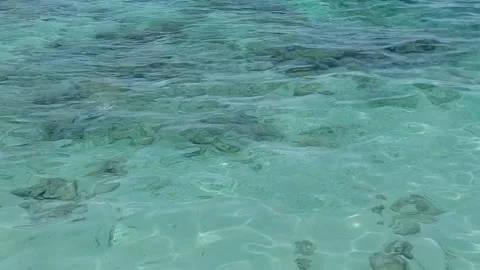 Shimmering turquoise waters Stock Footage 336214599