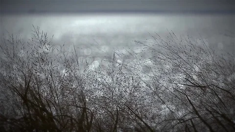 Shimmering Water | Contemplative abstract visual of water from the shore 스톡 동영상 82373061