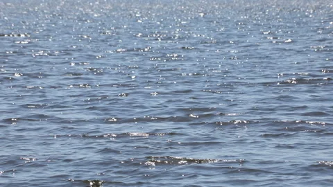 Shimmering Water Stock Footage 132936285