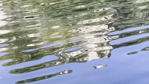 Shimmering water Stock Footage 232014448