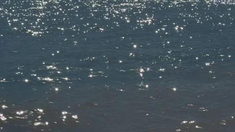 Shimmering water with sunlight surface Stock Footage 317630129