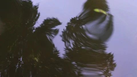 Shimmering water surface Stock Footage 121248139