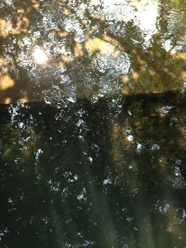 Shimmering water surface with reflections Stock Photos