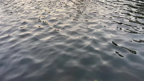 Shimmering Water Surface Ripples Reflecting Sunlight On Lake Stock Footage 336525663