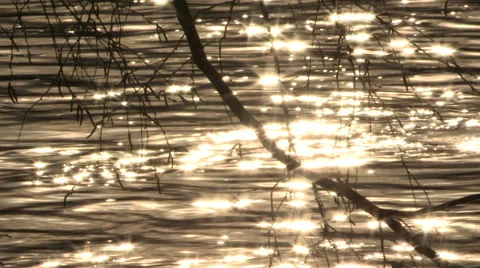 Shimmering Water Waves Background Stock Footage 49185668