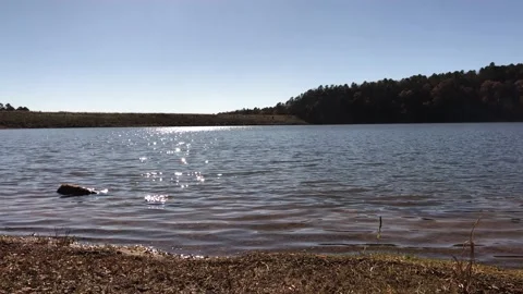 Shimmering waters of Lake Wallace reflected by the sun in autumn Stock Footage 148311274