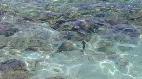 Shimmering waters of the sea Stock Footage 336218115