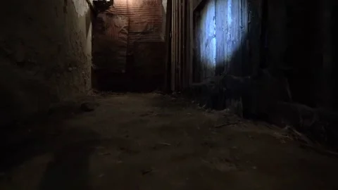 Shine a flashlight in the dark.Walk through an old dark underground basement Vidéo 159576999