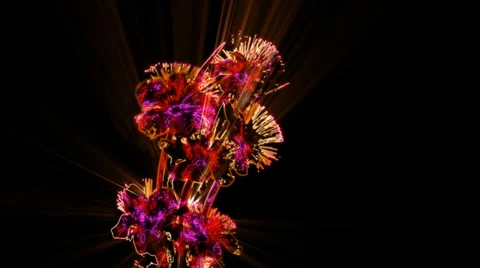 Shine flower1 스톡 동영상 26844080