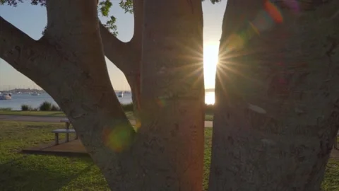 Shine Stock Footage 147597138