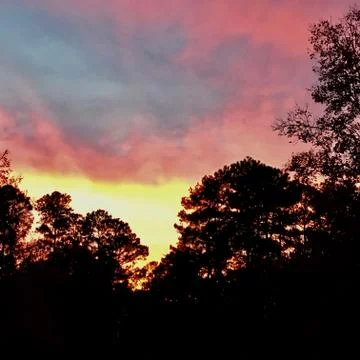 Shine the Light Stock Photos