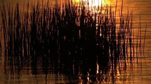 The shine Of The Setting Sun Reflected In The Water. Stock Footage 54908627