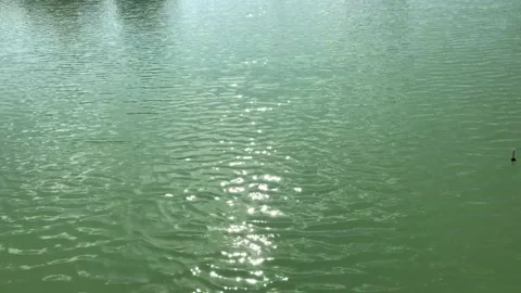 Shine of the sun's rays on the surface of the water surface of a turquoise lake. Video stock 135954631