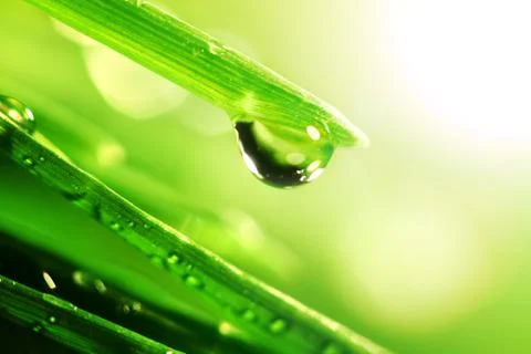 Shine water drop Stock Photos