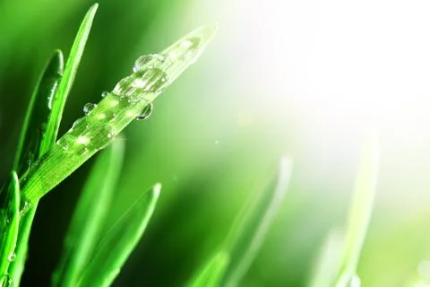 Shine water drop Stock Photos