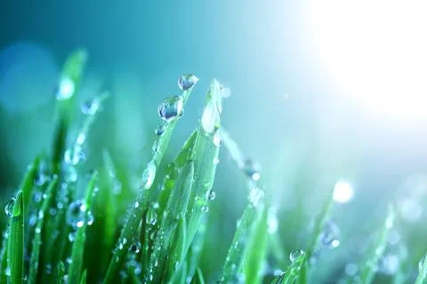 Shine water drop Stock Photos