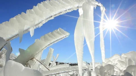 Shine winter Stock Footage 47265579