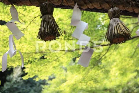 SHINENAWA Stock Photos