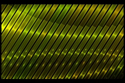 Shiney Gold Lines Stock Footage 219074