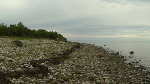 Shingle coast line Stock Footage 53001076