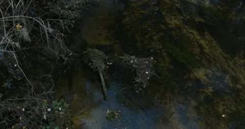 Shingle Creek - a leaf floats downstream Video stock 219172305