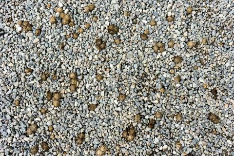 Shingle path in park Stock Photos