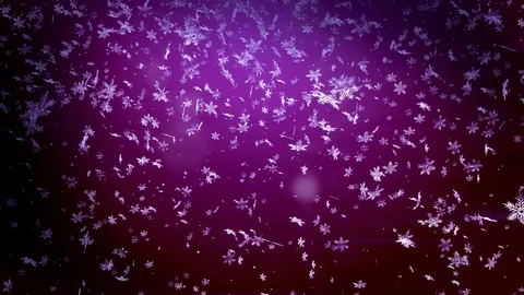 Shining 3d snowflakes float in air in slow motion and glowing on a purple Stock Footage 82858203