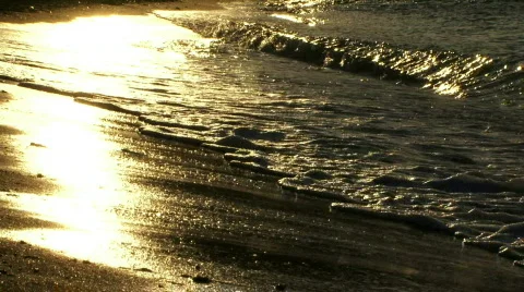 Shining beach 스톡 동영상 766948