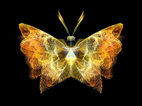 Shining Butterfly Stock Illustration