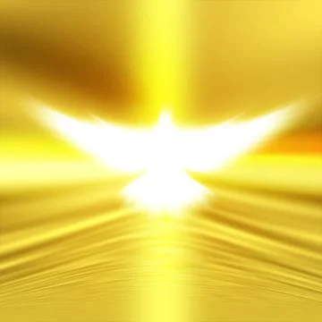 Shining dove Stock Photos