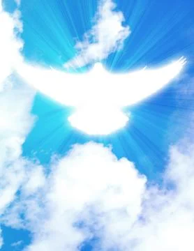 Shining dove Stock Photos