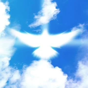 Shining dove Stock Photos