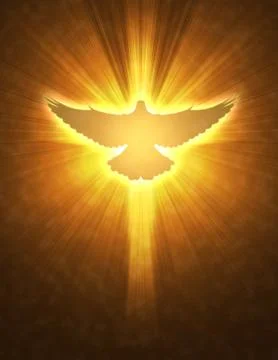 Shining dove with rays on a dark Stock Photos