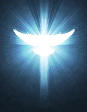 Shining dove with rays on a dark Stock Photos