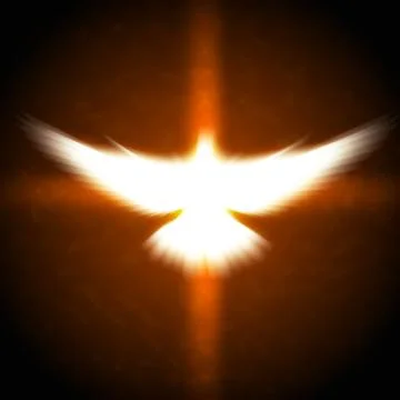 Shining dove with rays on a dark Stock Photos