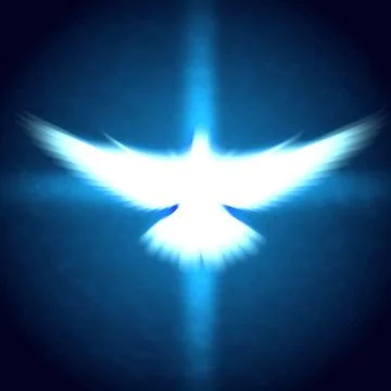 Shining dove with rays on a dark Stock Photos