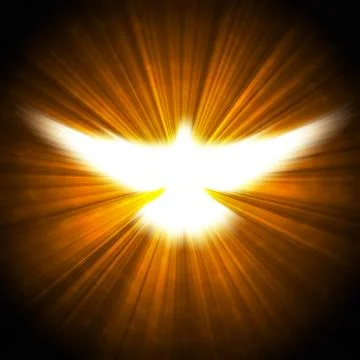 Shining dove with rays on a dark Stock Photos