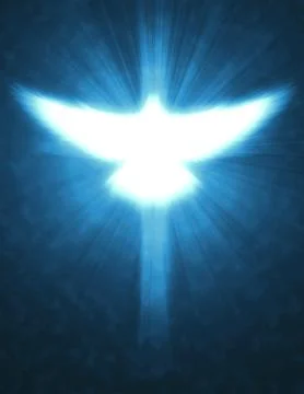Shining dove with rays on a dark Stock Photos