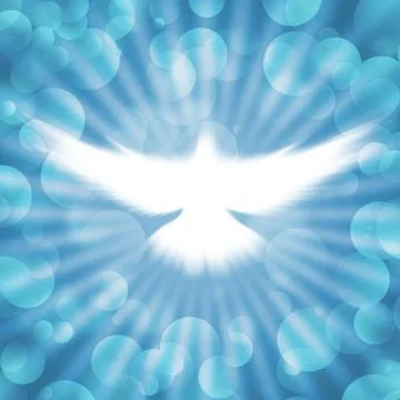 Shining dove with rays on a dark Stock Photos