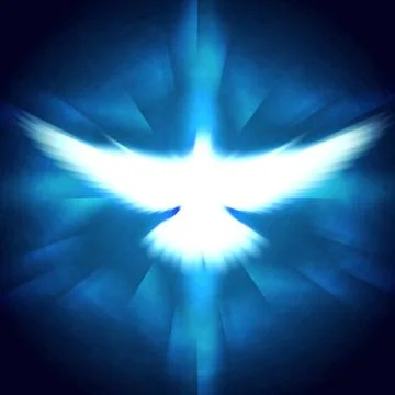 Shining dove with rays on a dark Stock Photos