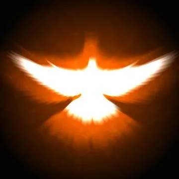 Shining dove with rays on a dark Stock Photos