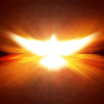 Shining dove with rays on a dark Stock Photos