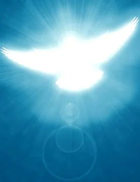 Shining dove with rays on a dark Stock Photos