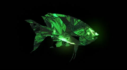 Shining fish, VJ loop Stock Footage 64574038