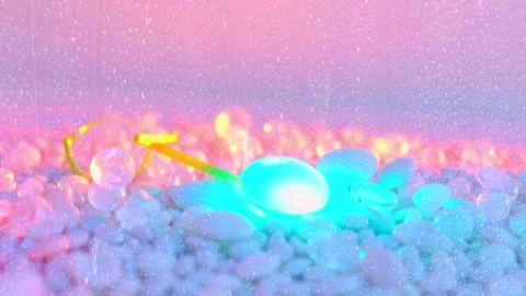 Shining Flower: Gradient Background Animation of Glowing Flowers with Pastel Hu Stock Footage 330321029