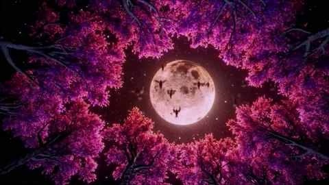 Shining Full moon view in the night Stock Footage 233088817