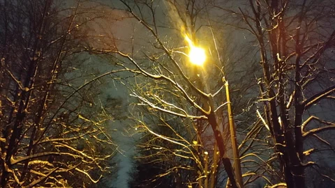 Shining lantern night in winter Glowing lantern tree branches covered with snow Video stock 313805068