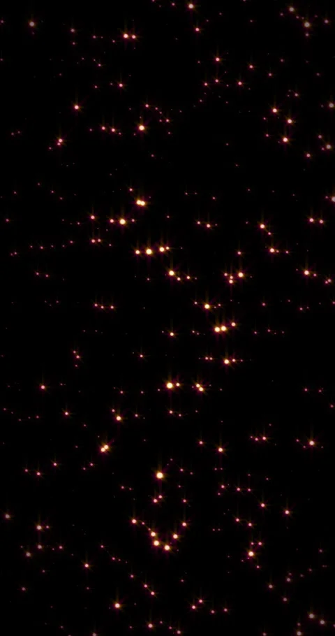 Shining particles floating. Loop. 4K Vertical Stock Footage 314490763