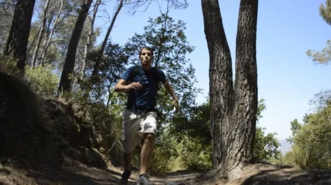 Shining path running through the woods Vidéo 50961816