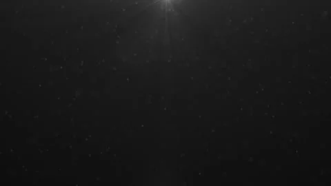 Shining Rays Video Stock Footage 306408808